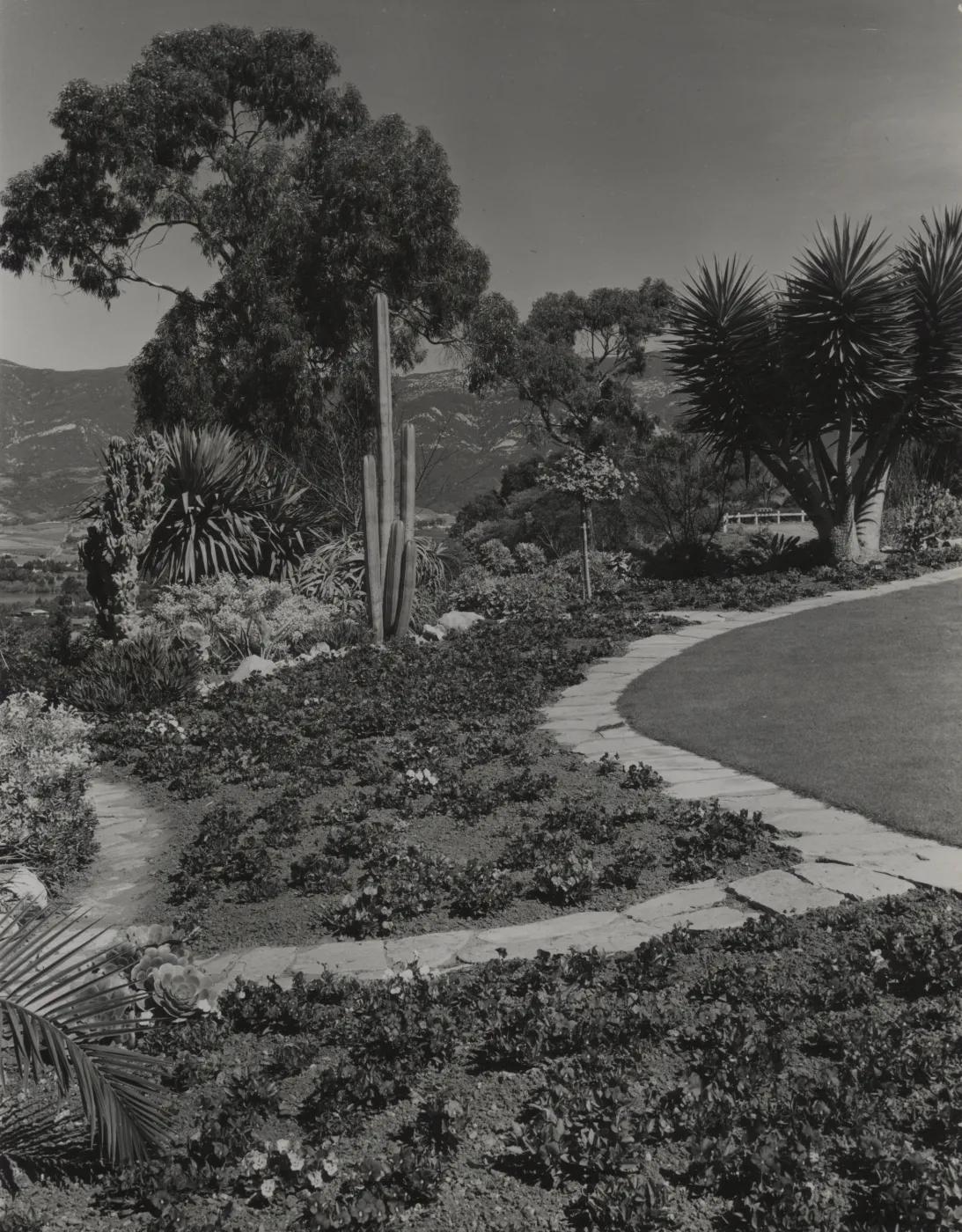 © Josef Muench