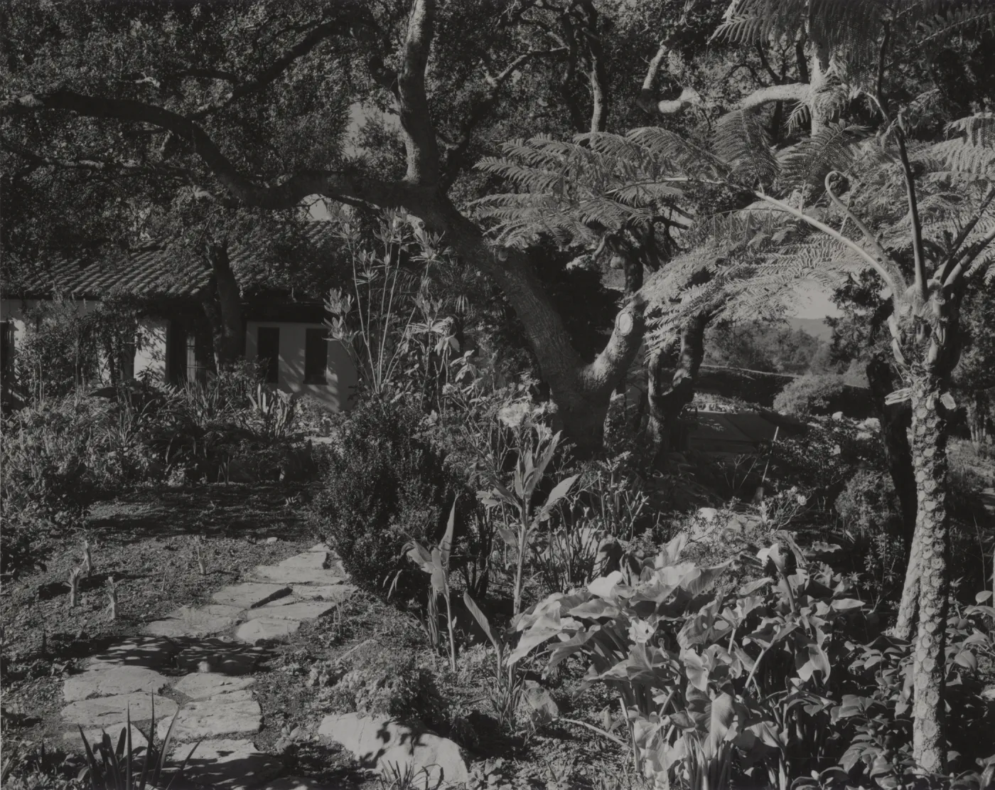 © Josef Muench