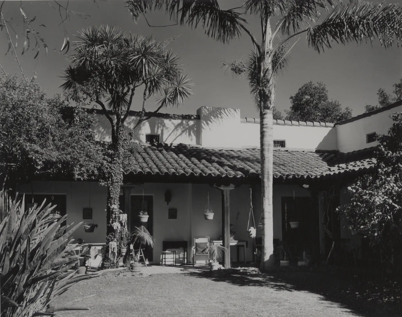 © Josef Muench