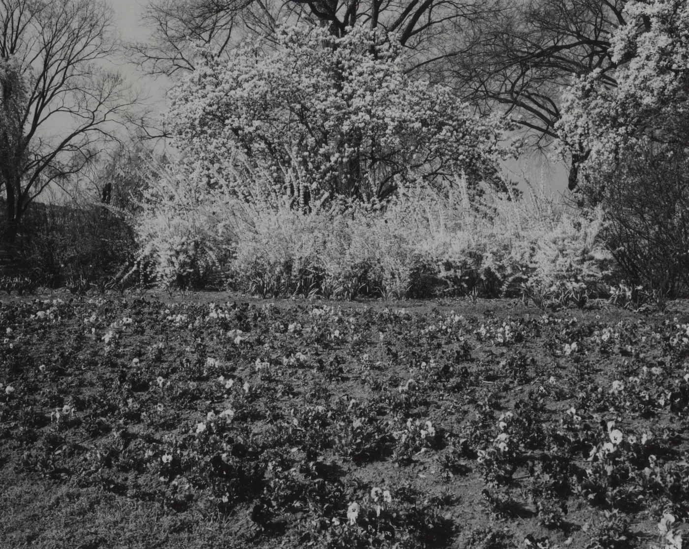 © Josef Muench