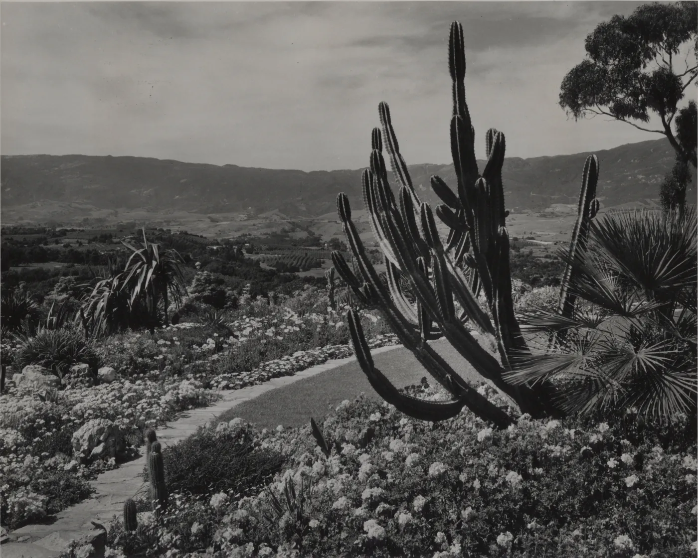 © Josef Muench