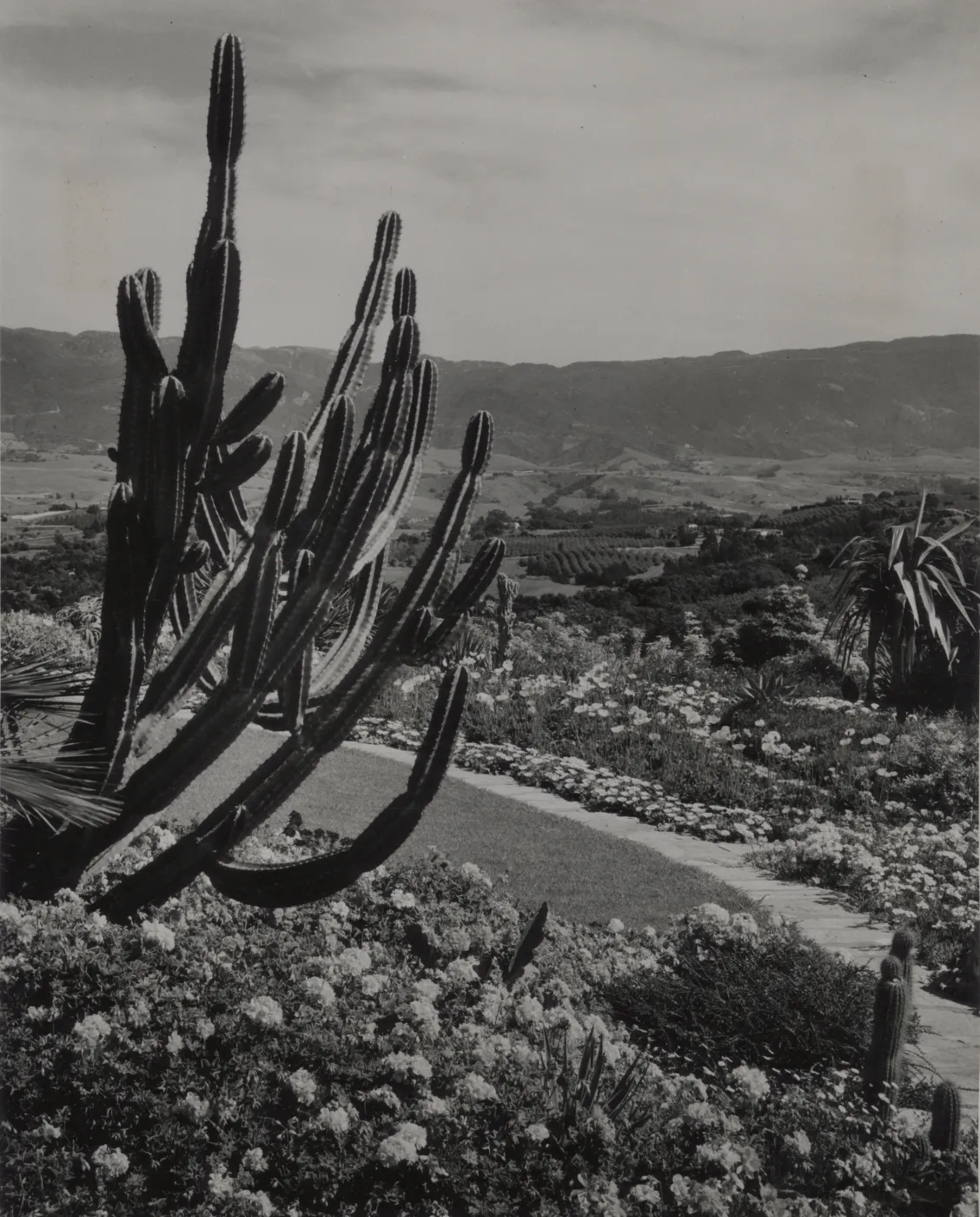 © Josef Muench