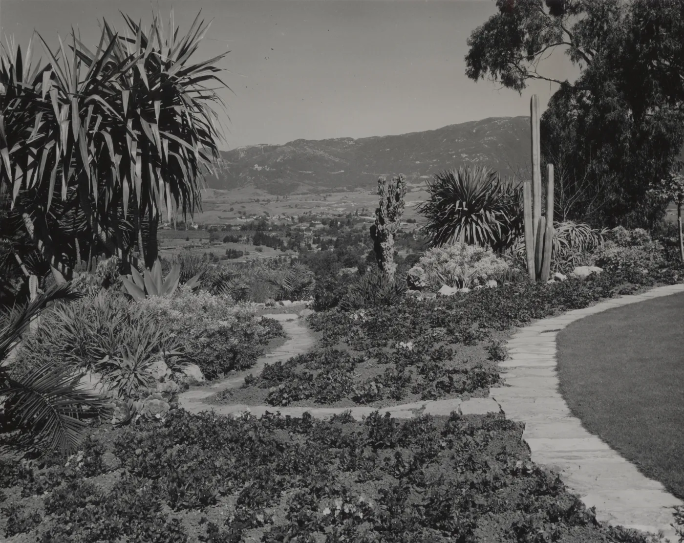 © Josef Muench