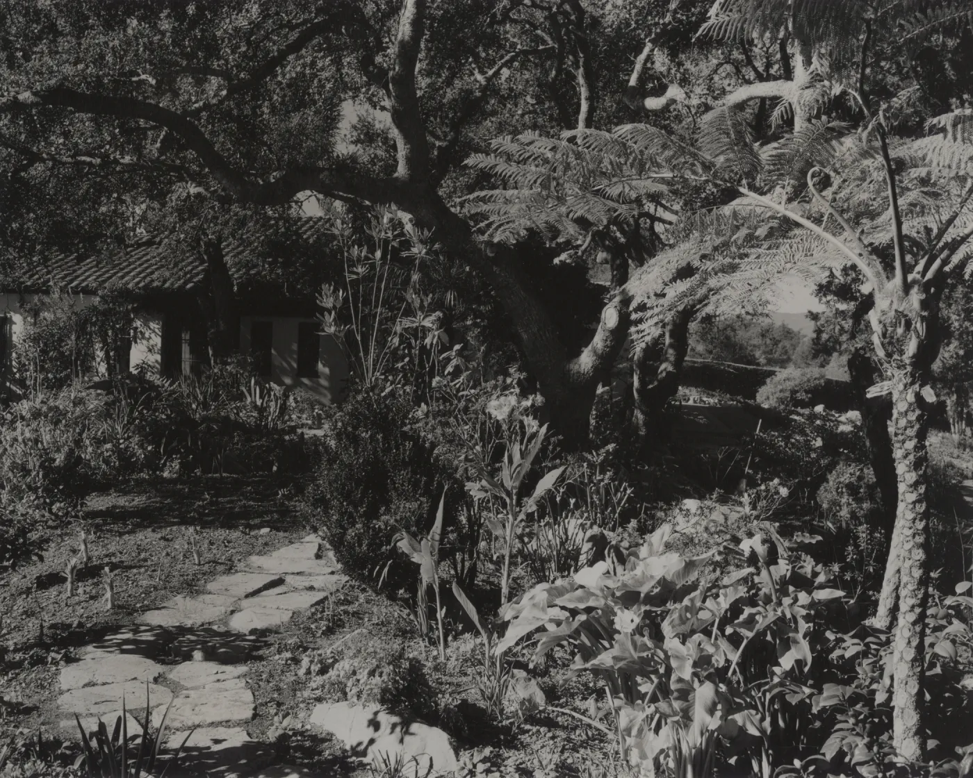 © Josef Muench