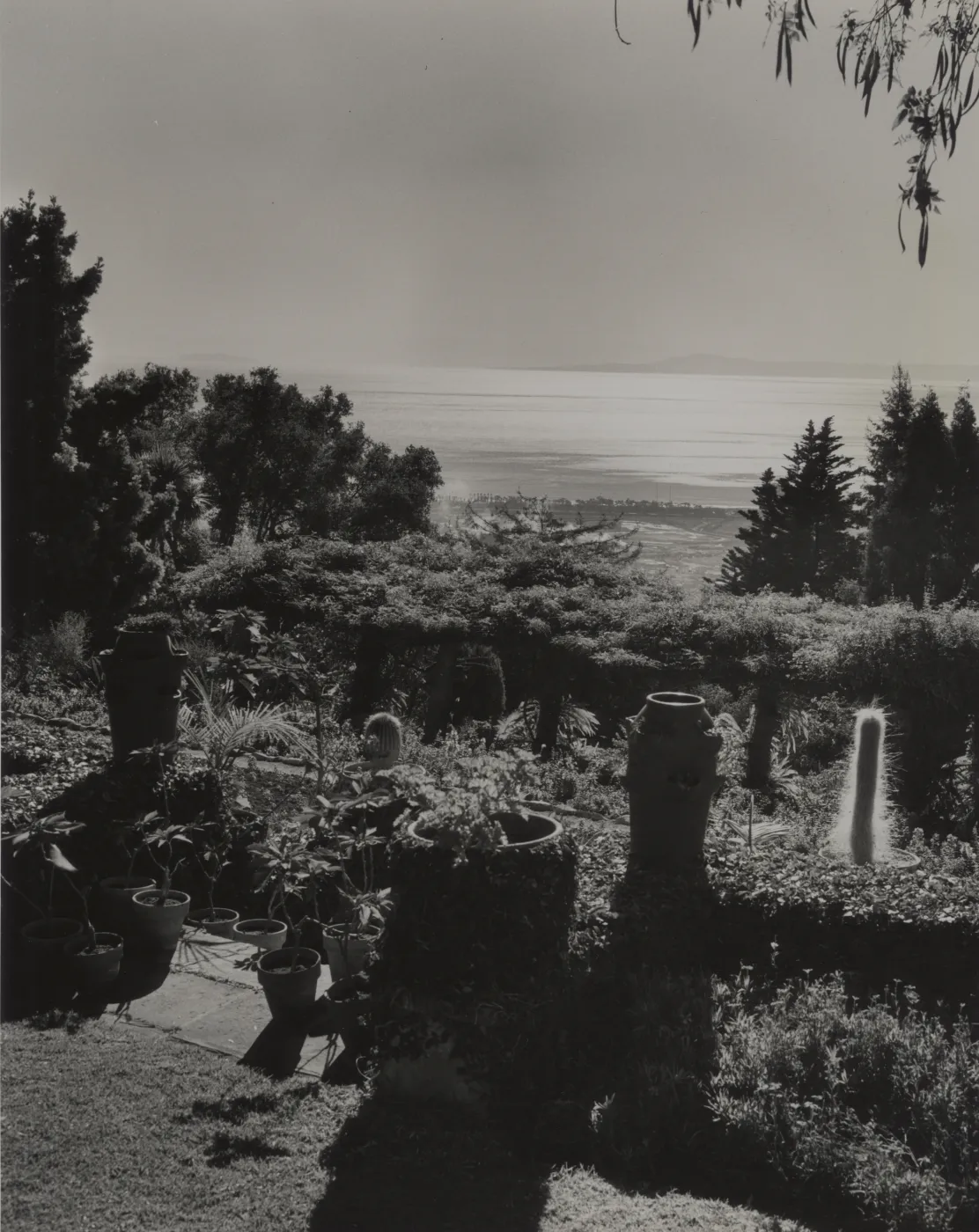 © Josef Muench