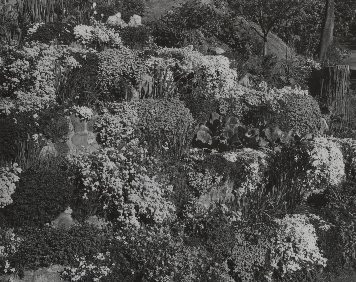 © Josef Muench