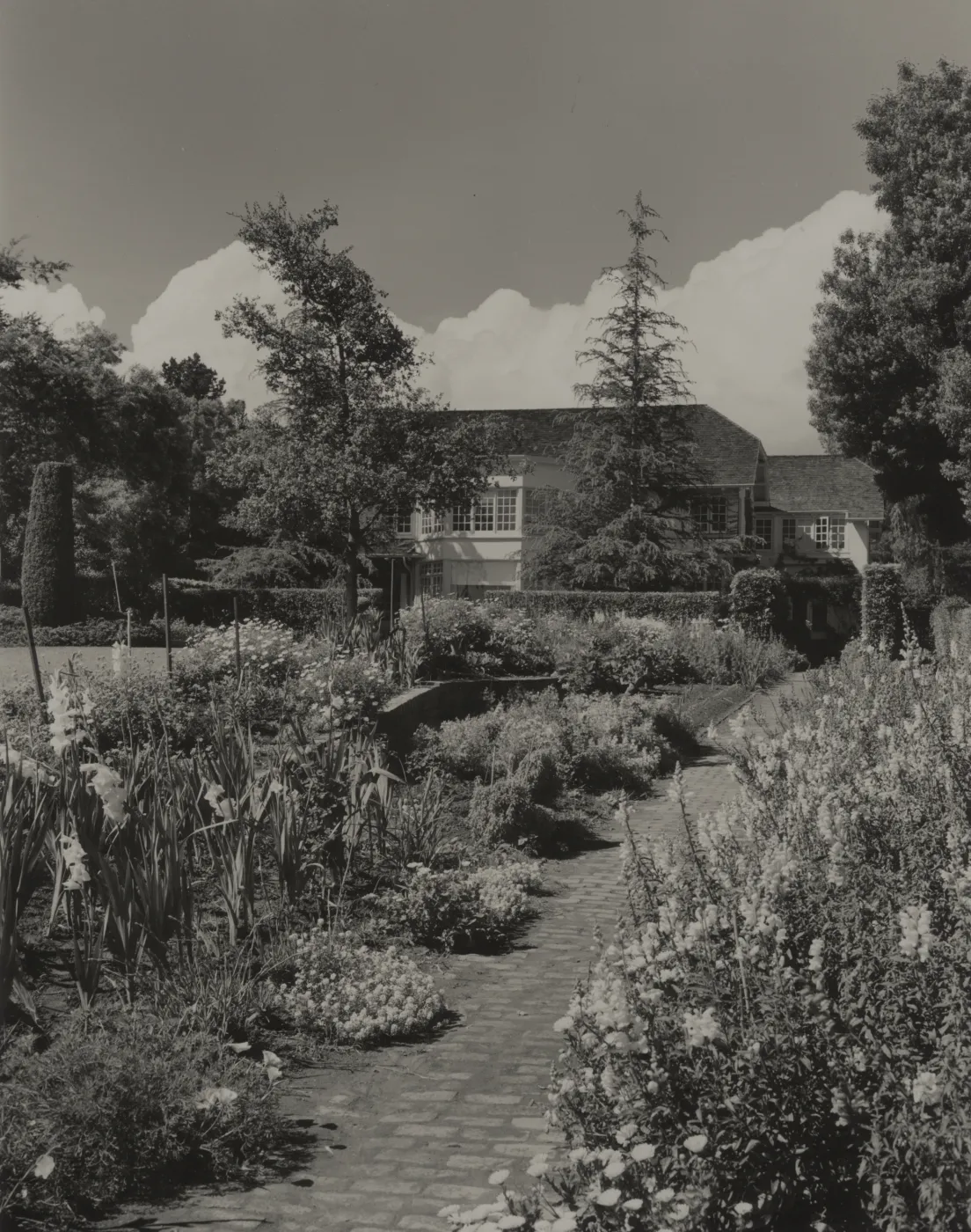 © Josef Muench