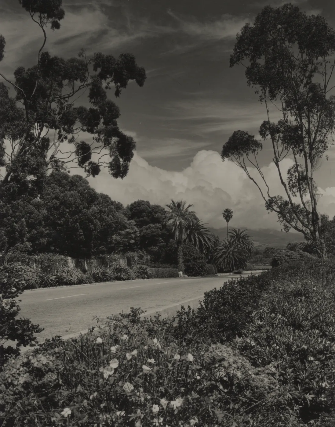 © Josef Muench