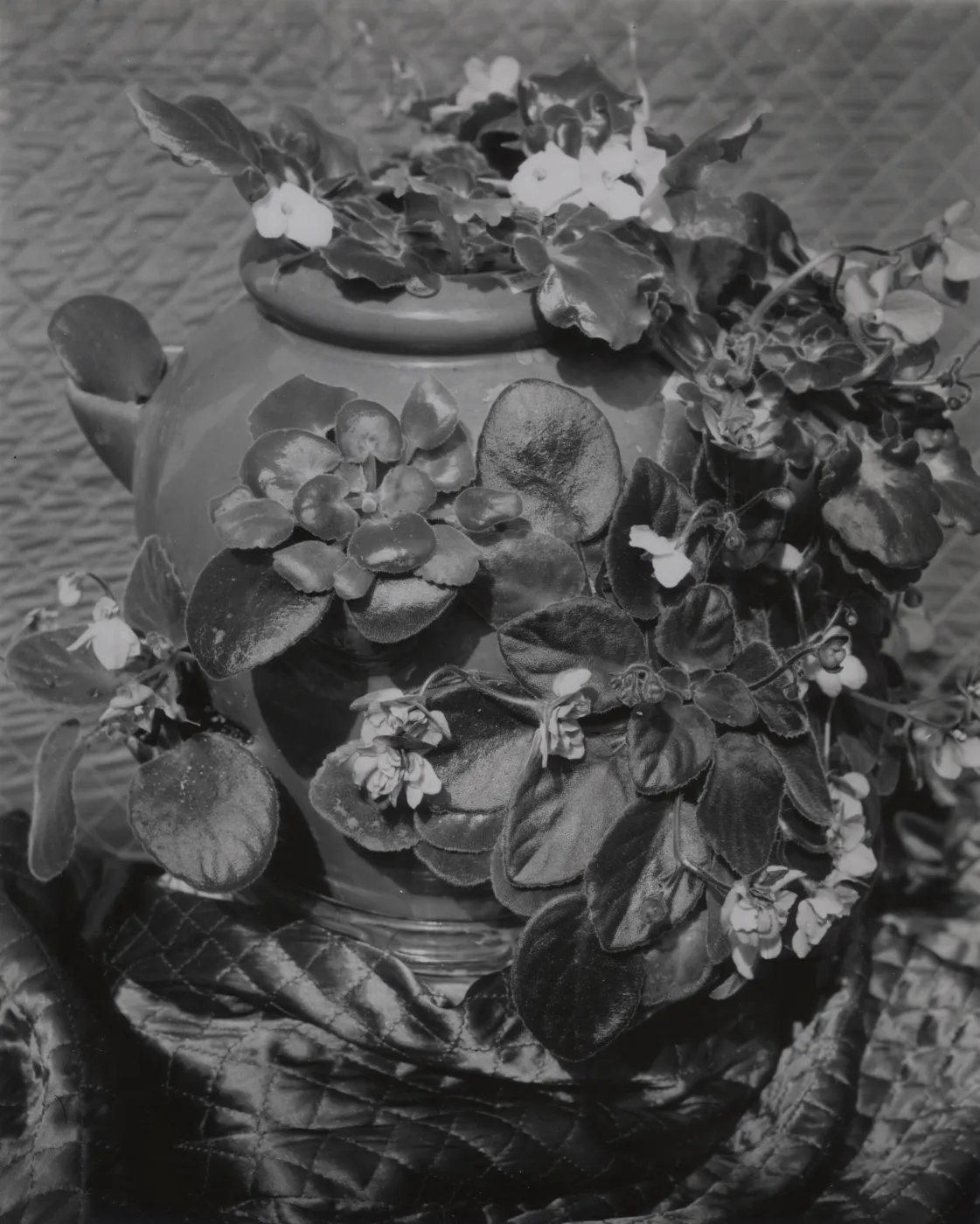 © Joyce R. Muench