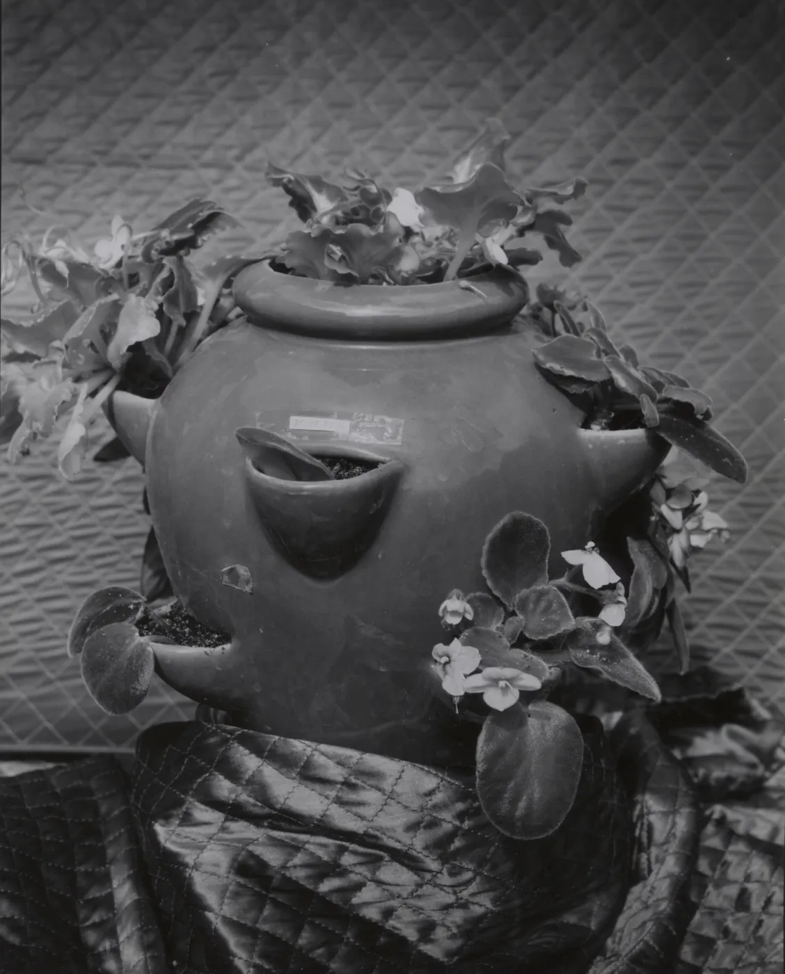 © Joyce R. Muench