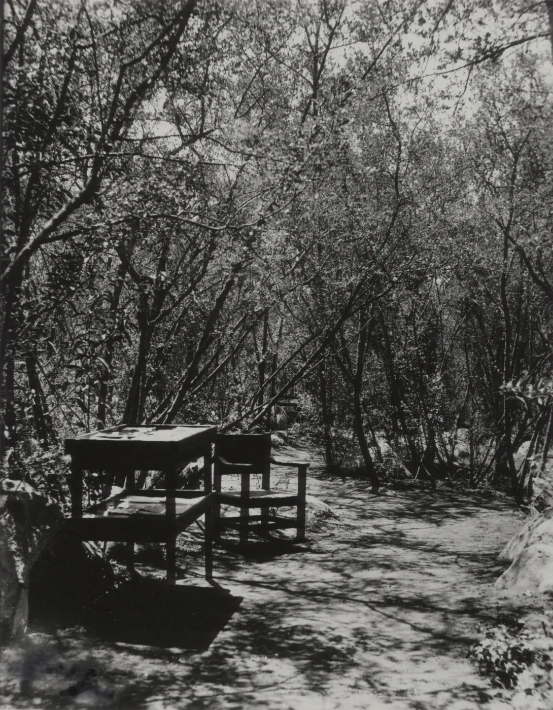The first Library at SBBG, circa 1920s to 1930s