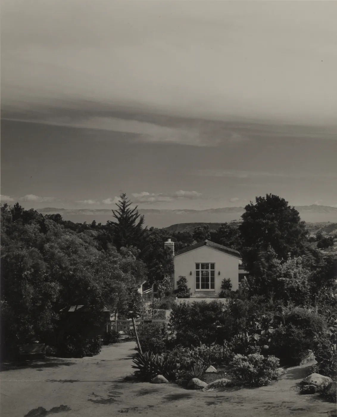 Blaksley Library, island view from SBBG