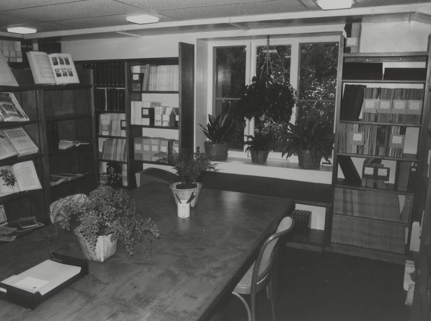 Muller Reading Room Interior at Opening
