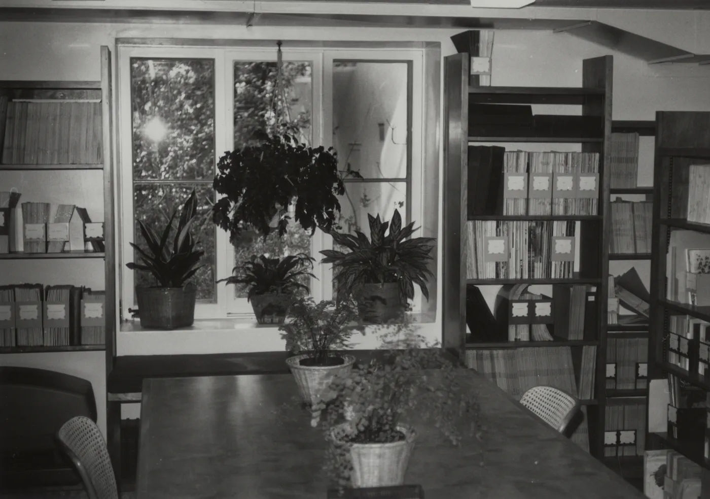 Muller Reading Room interior
