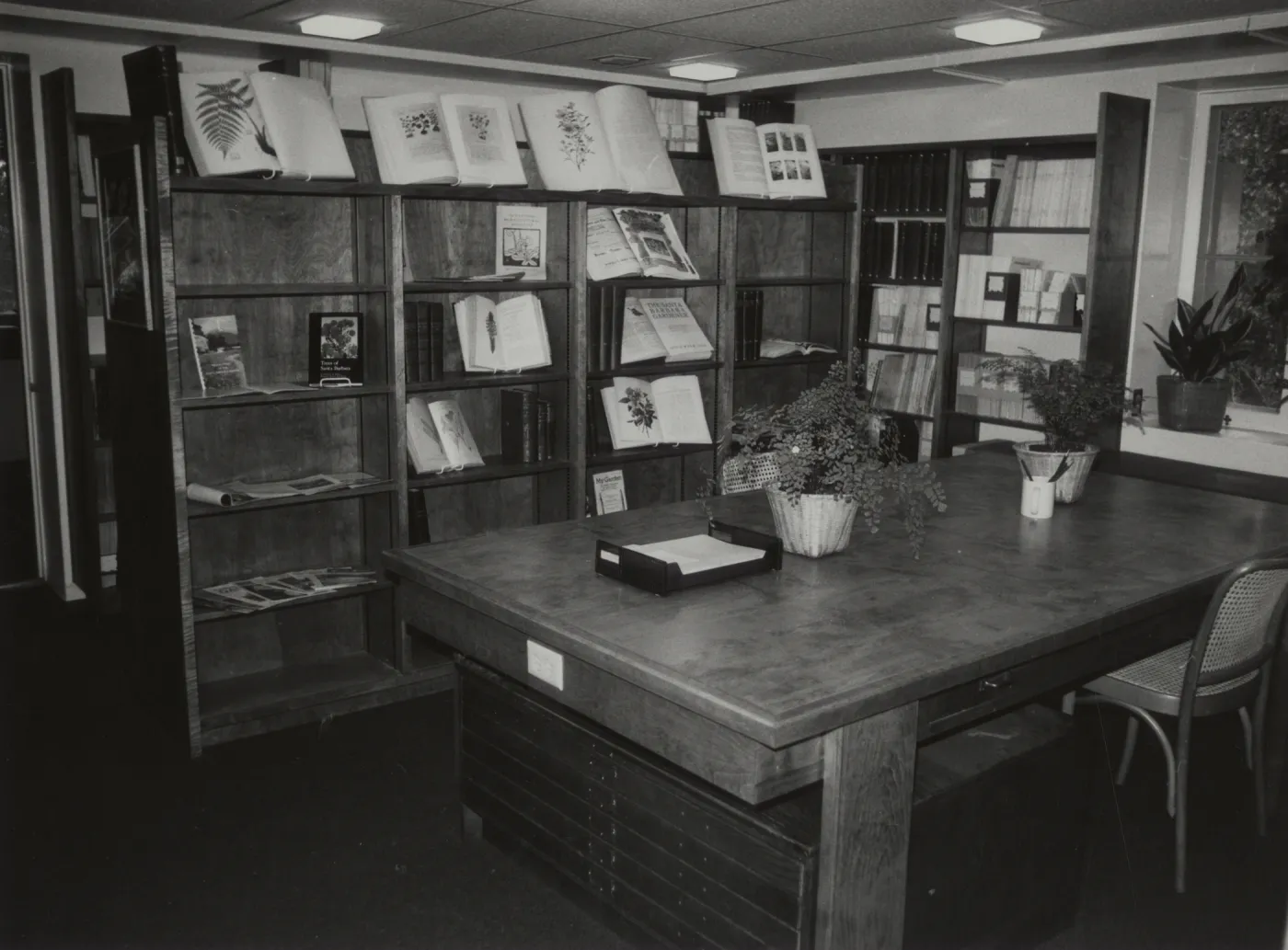 Muller Reading Room Interior at Opening