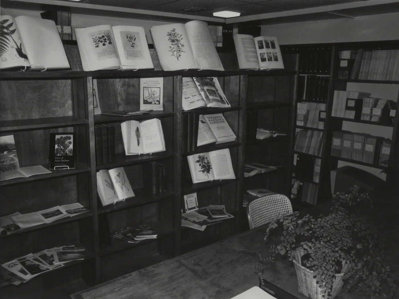Muller Reading Room Interior at Opening