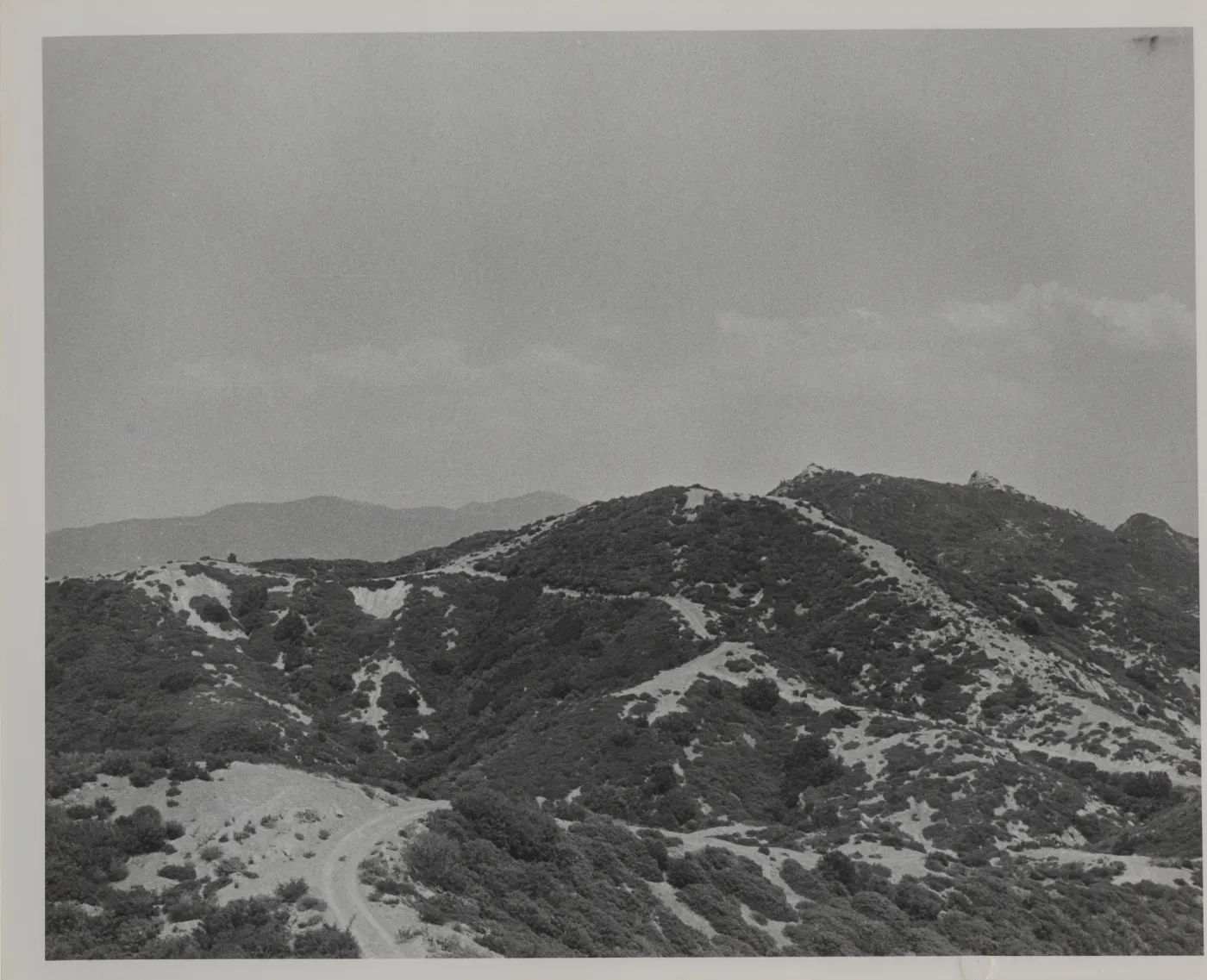 Monte Arido