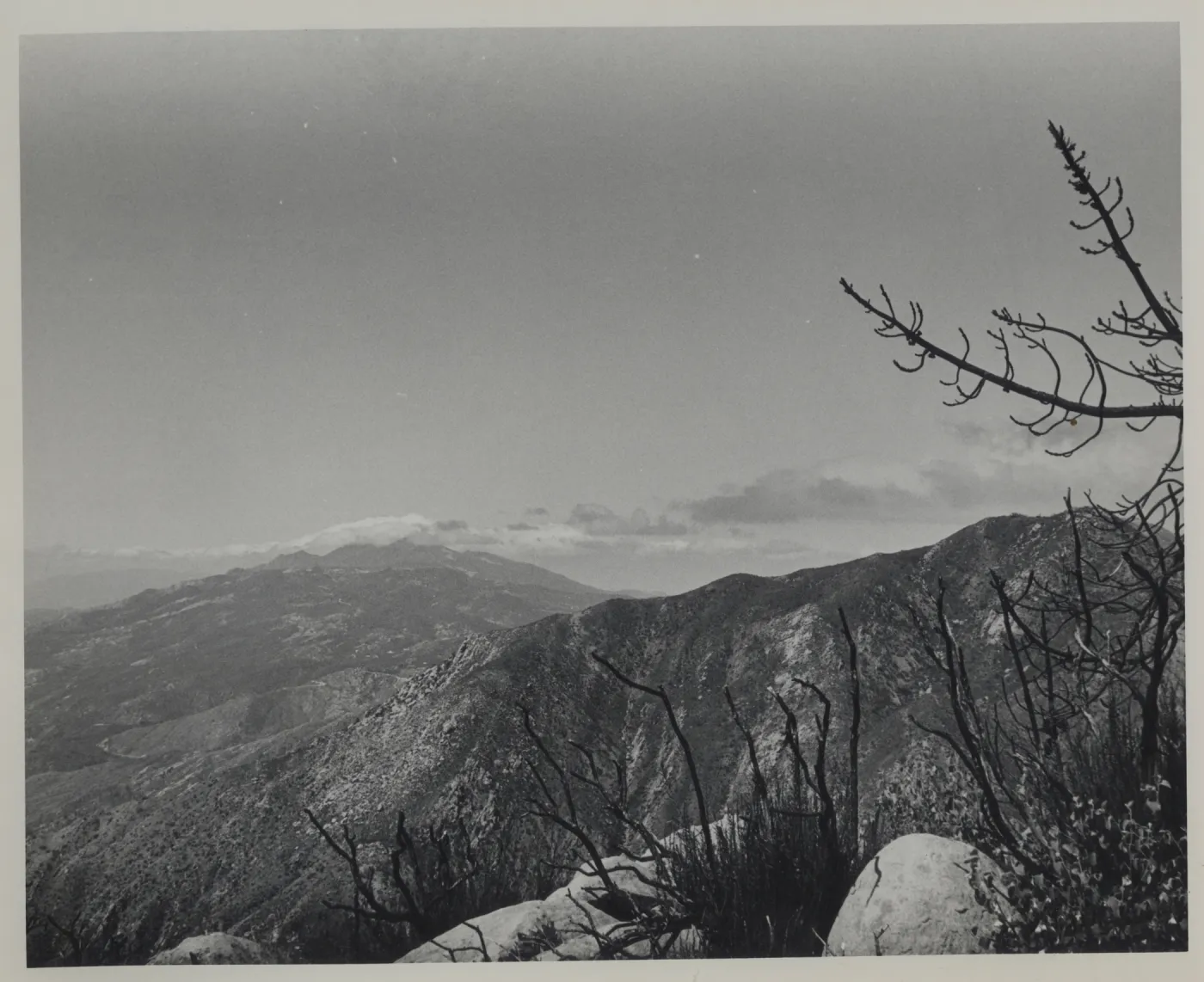 viewing west from Cathedral Peak, second year after Coyote Fire