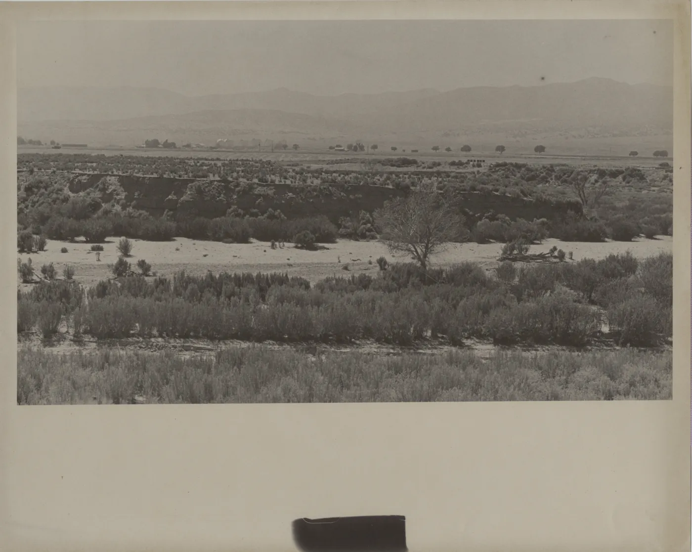 Cuyama River?