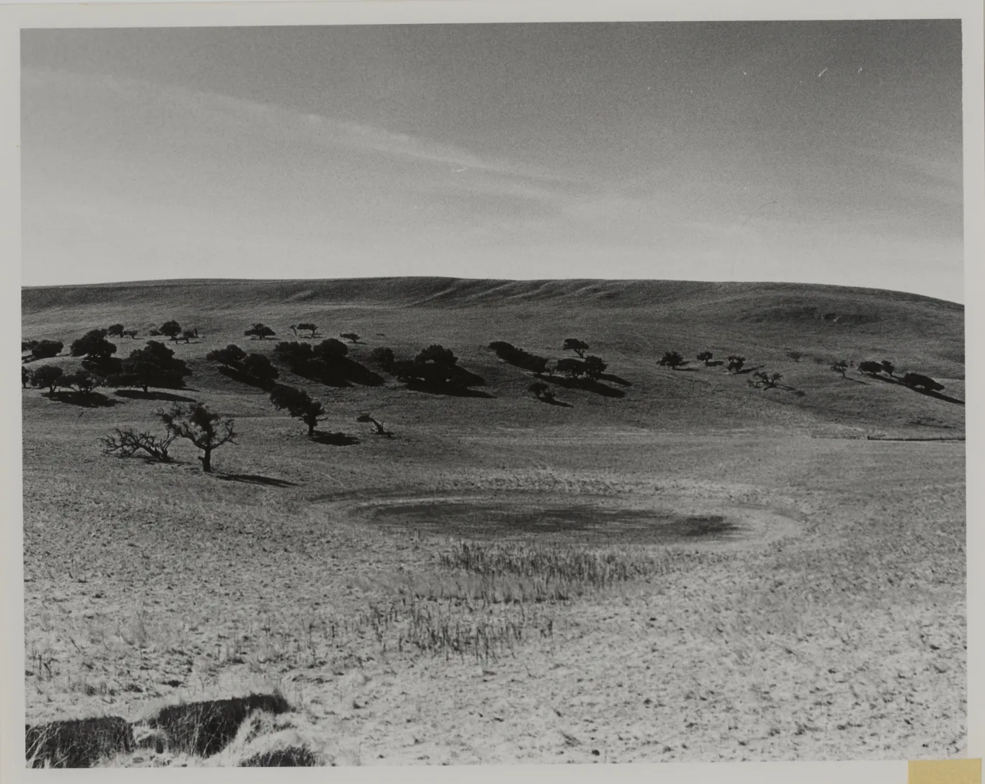 dry 'Vernal pond northwest of Los Alamos'