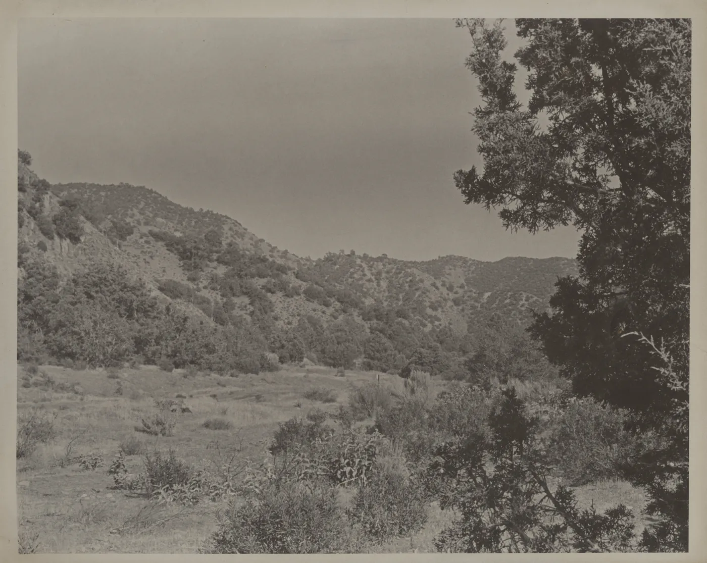 Santa Barbara Canyon?