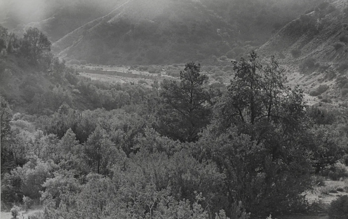 View of River, Near Cox Flat?