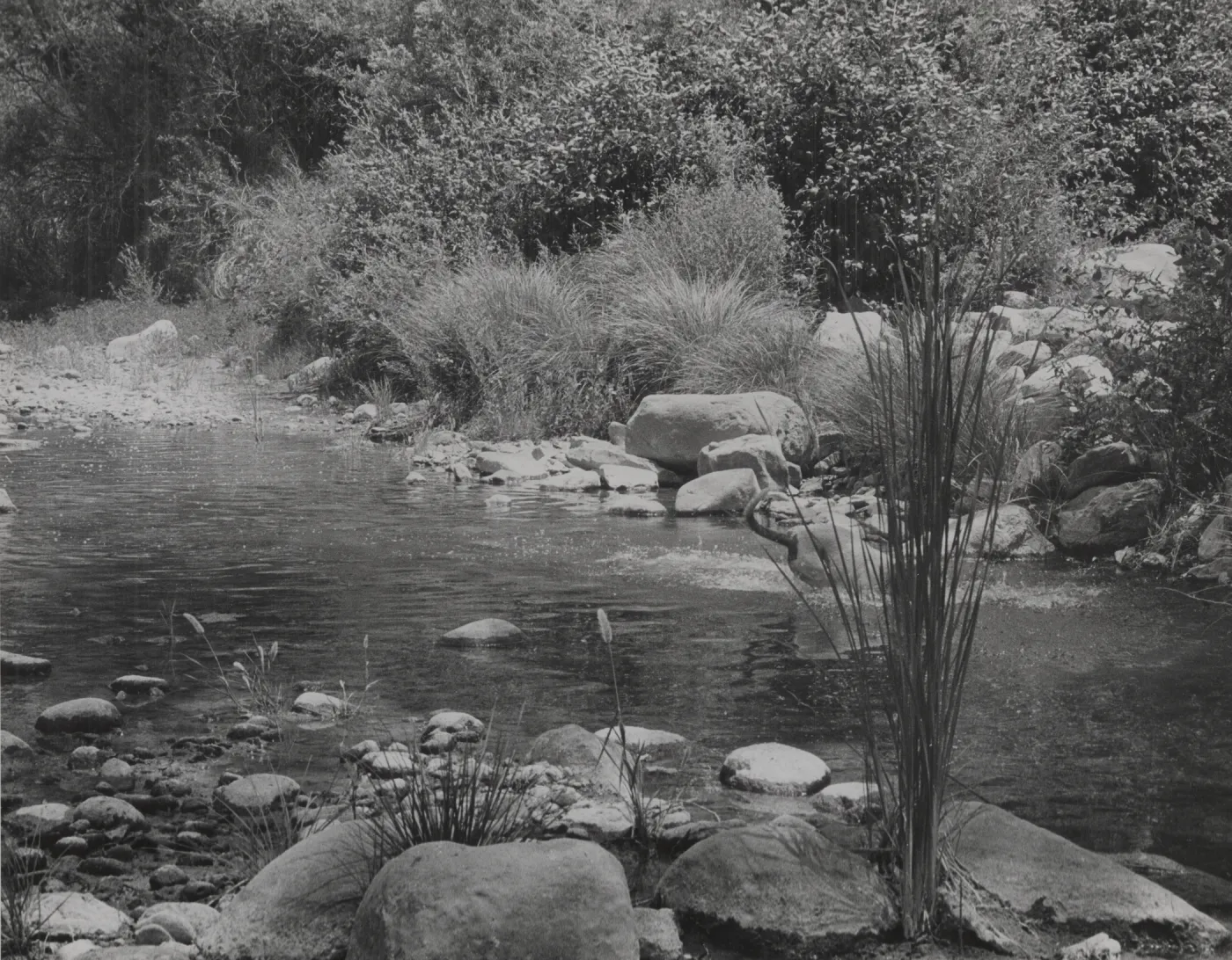 Sisquoc River above South Fork