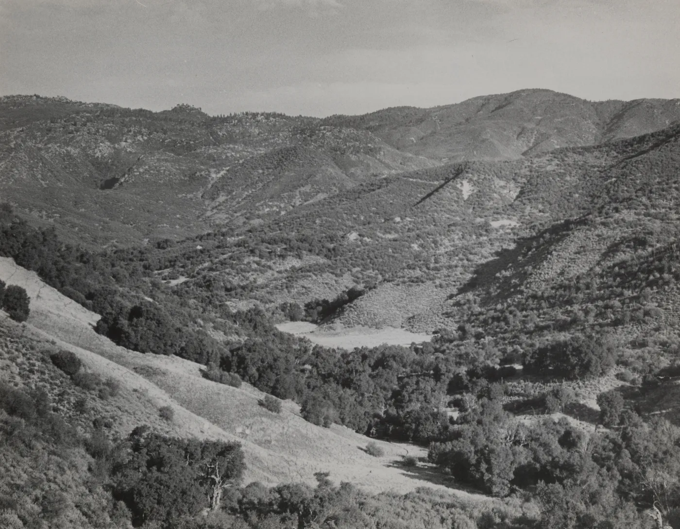 Flores Flats on Santa Cruz Creek, Mission Pine on horizon (upper left)