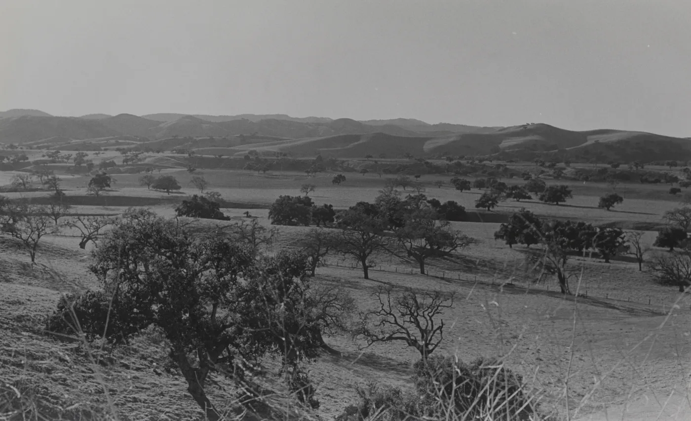 Los Alamos