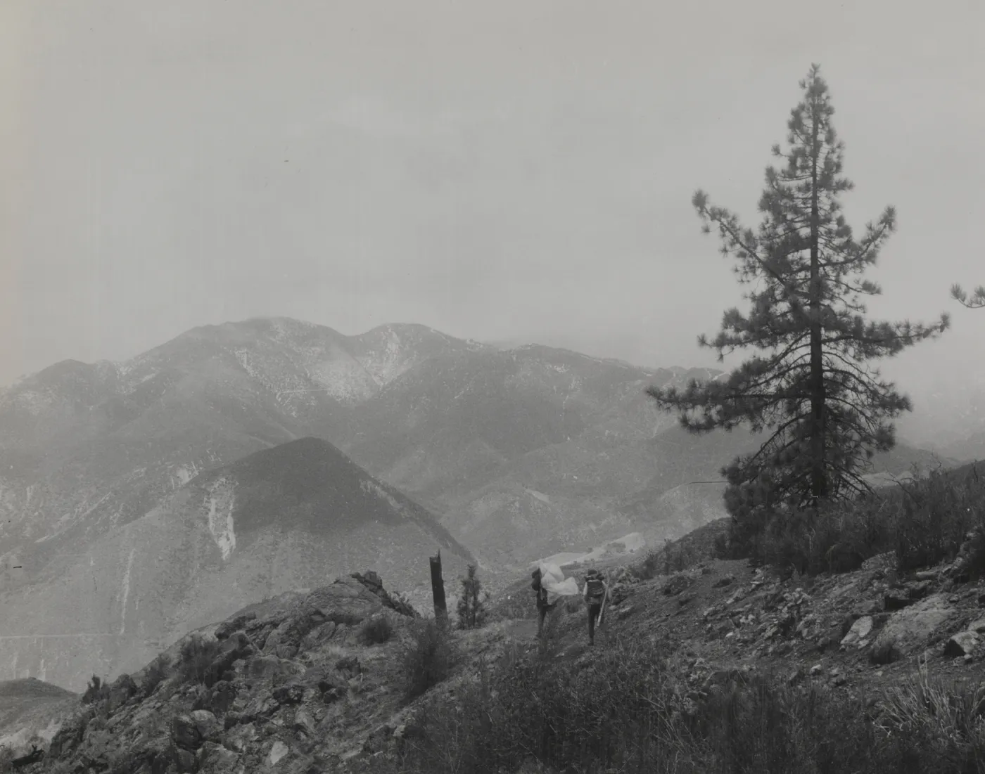 Northwest slope of Littlepine Mountain