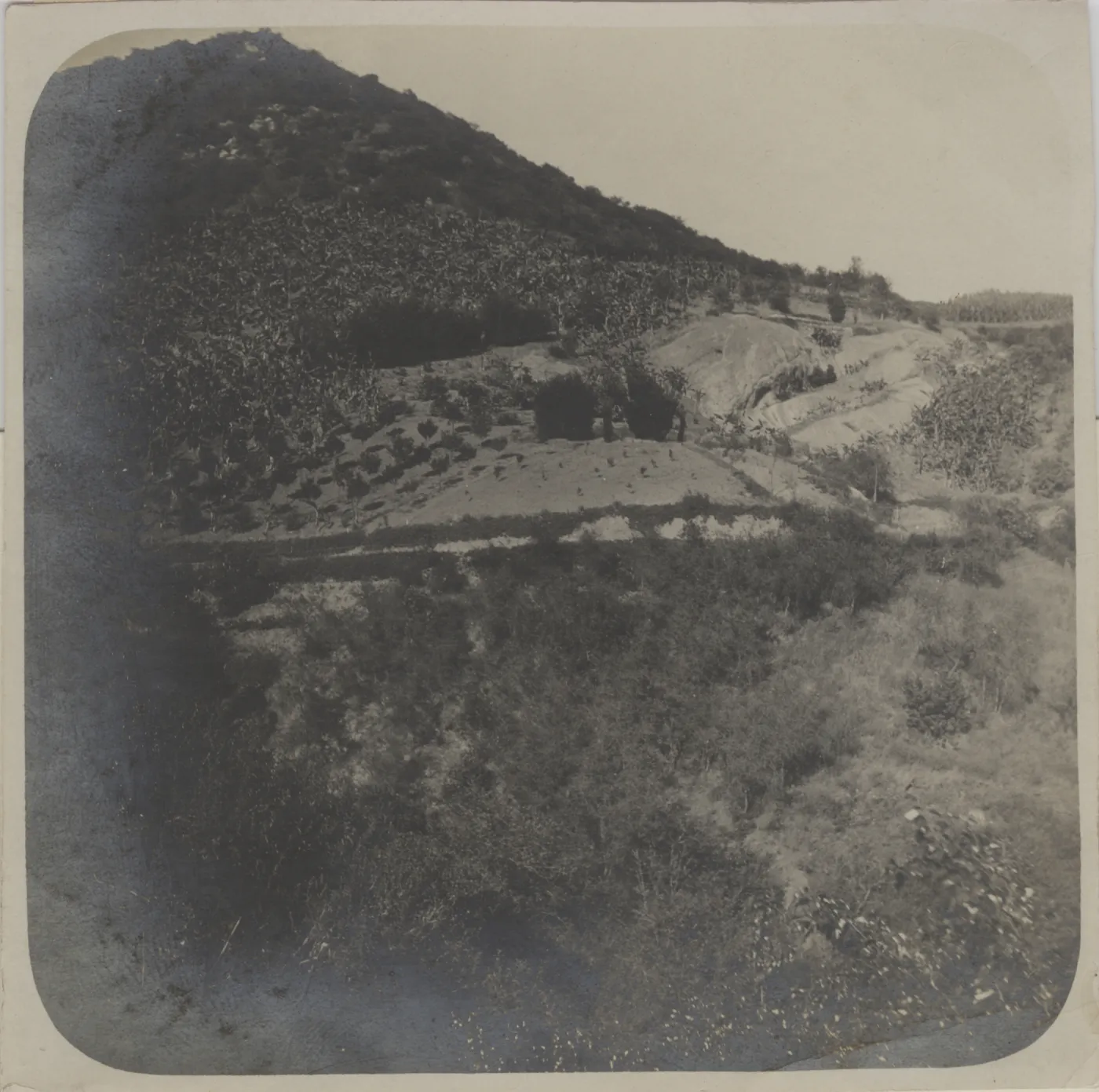 Early photo of Mountain Drive