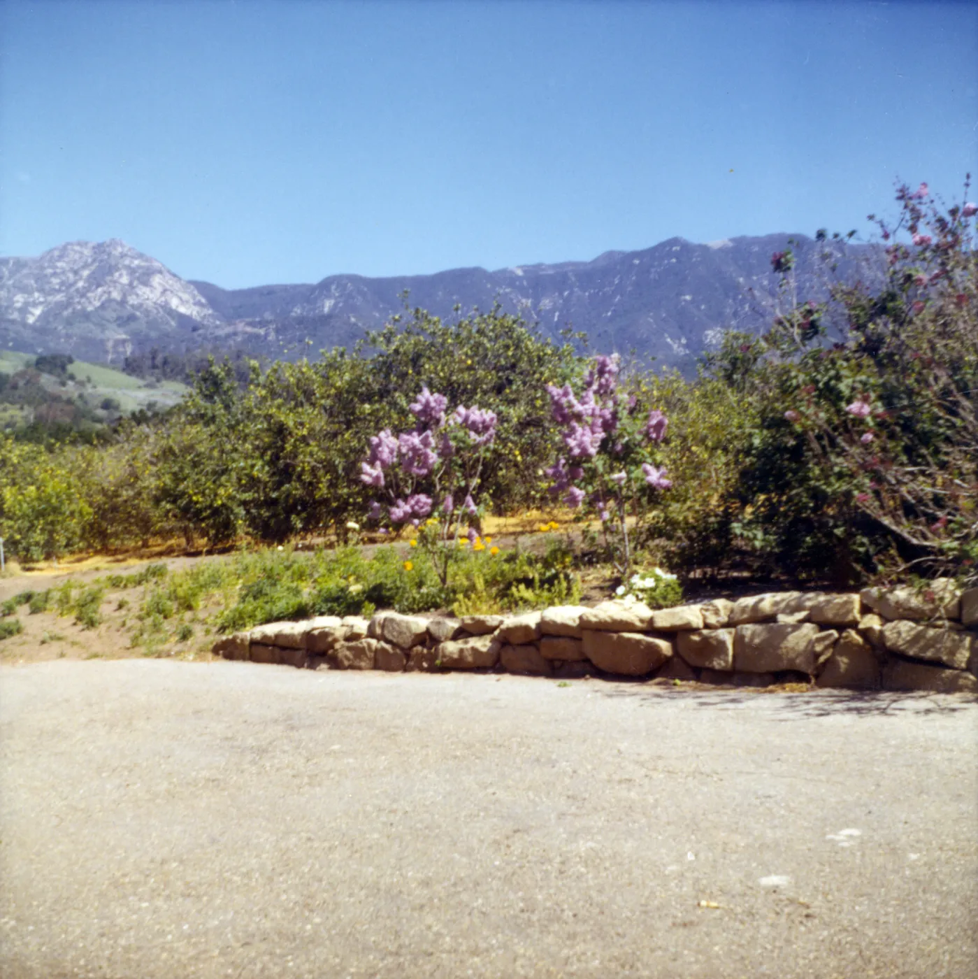Historic photo of Hay Hill, Torocado Ranch