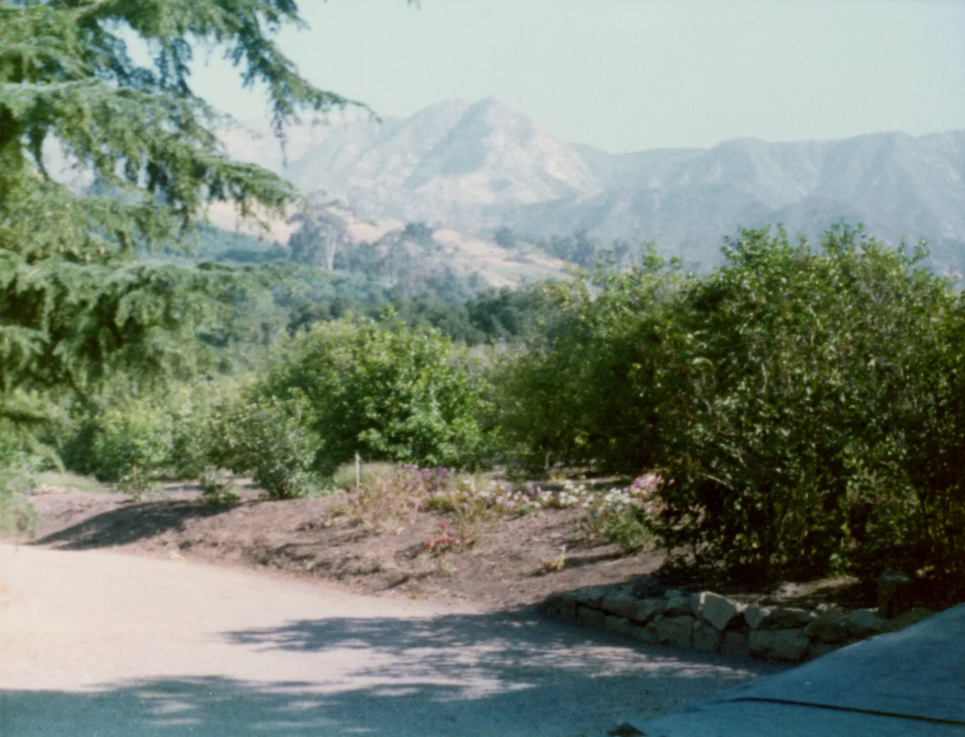 Historic photo of Hay Hill