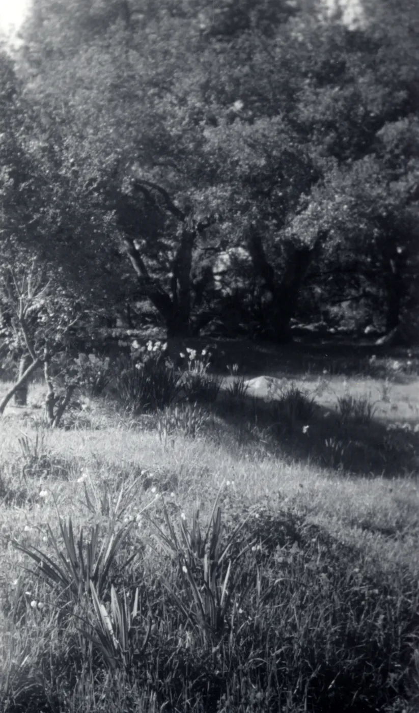 Historic photo of Hay Hill