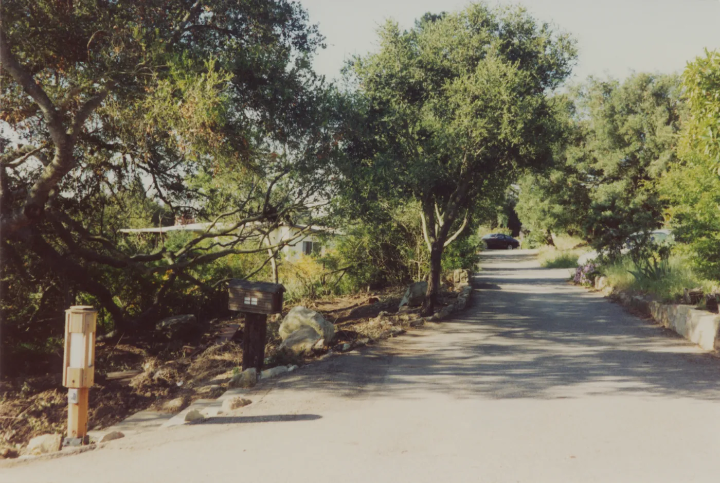 Director's residence driveway