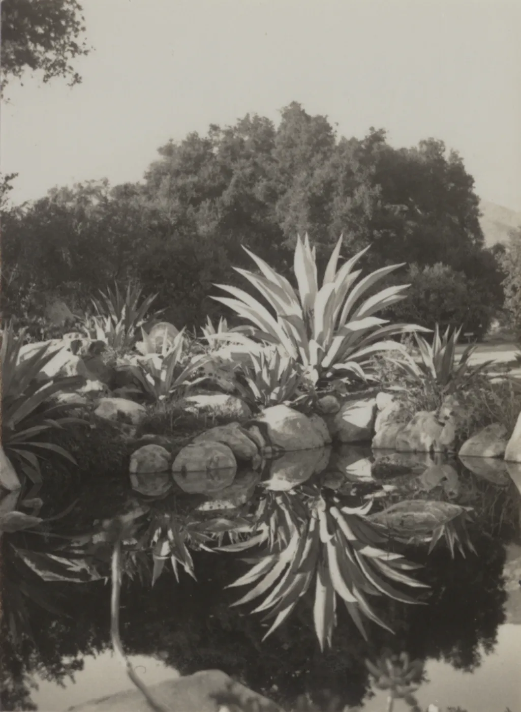 Blakesly Garden, pond