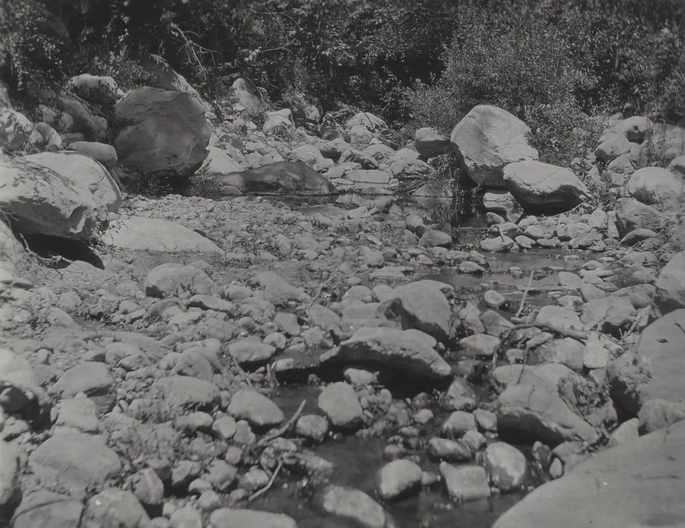 Mission Creek