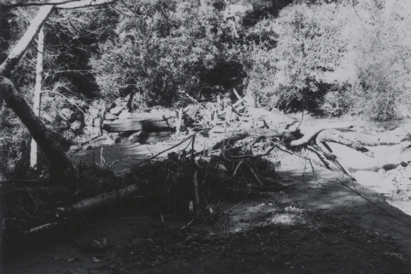 flood debris collected on Mission Dam, 1969