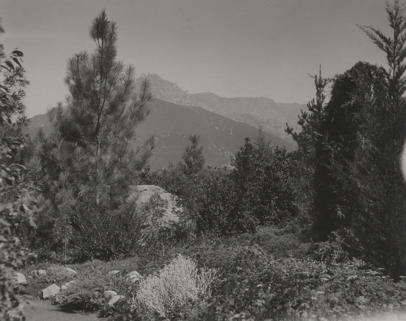 old Island Trail, 1930's