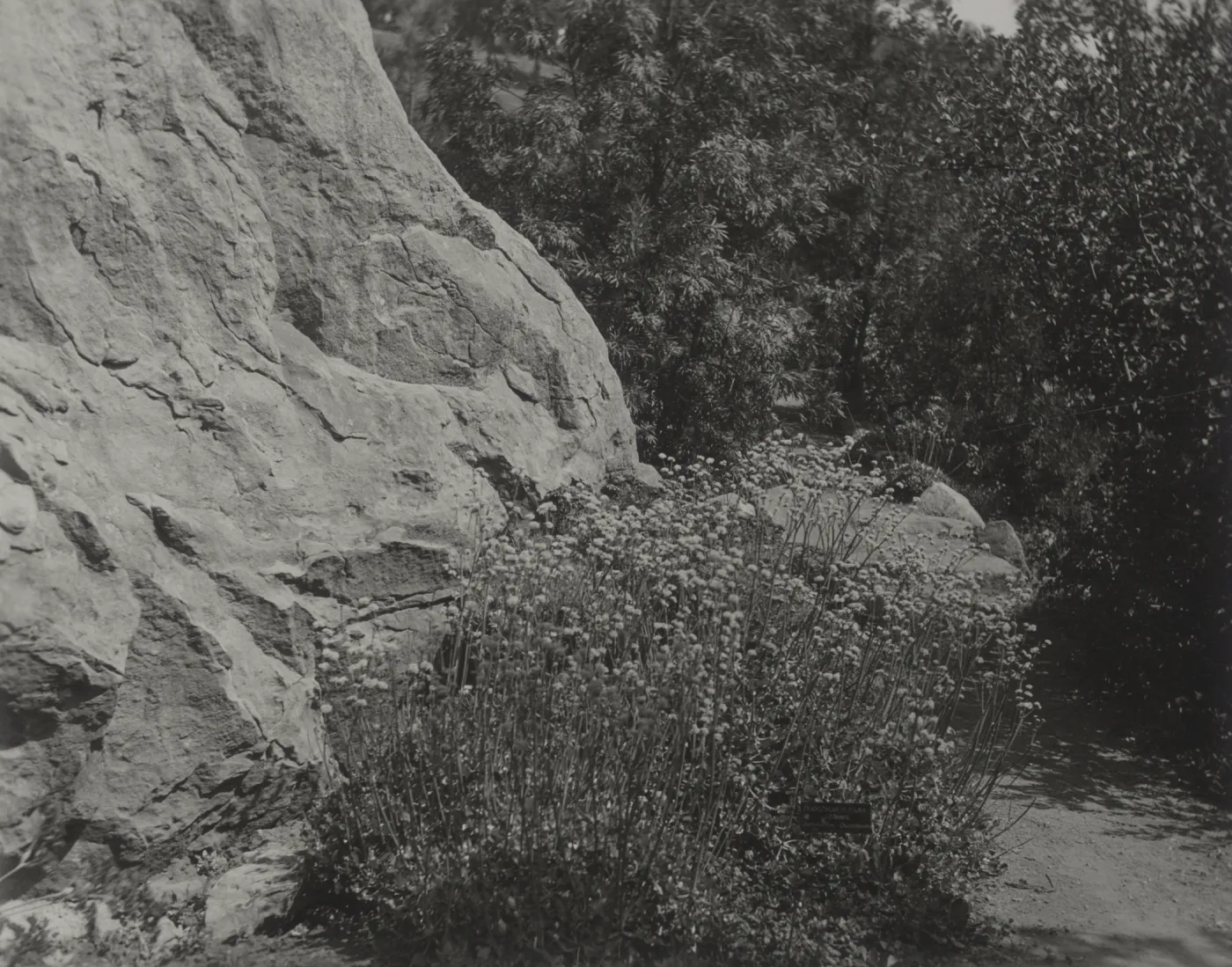 old Island Trail, 1930's