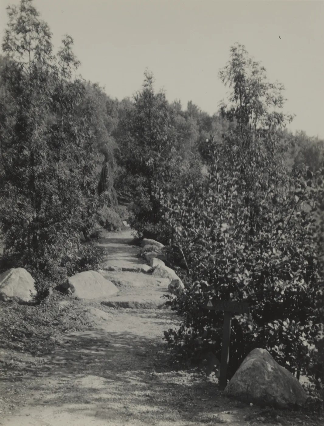 old Island Trail, 1930's