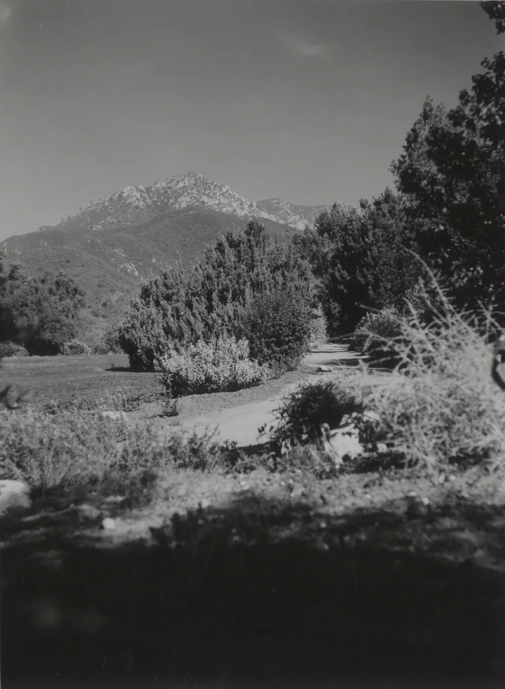 east side of Meadow