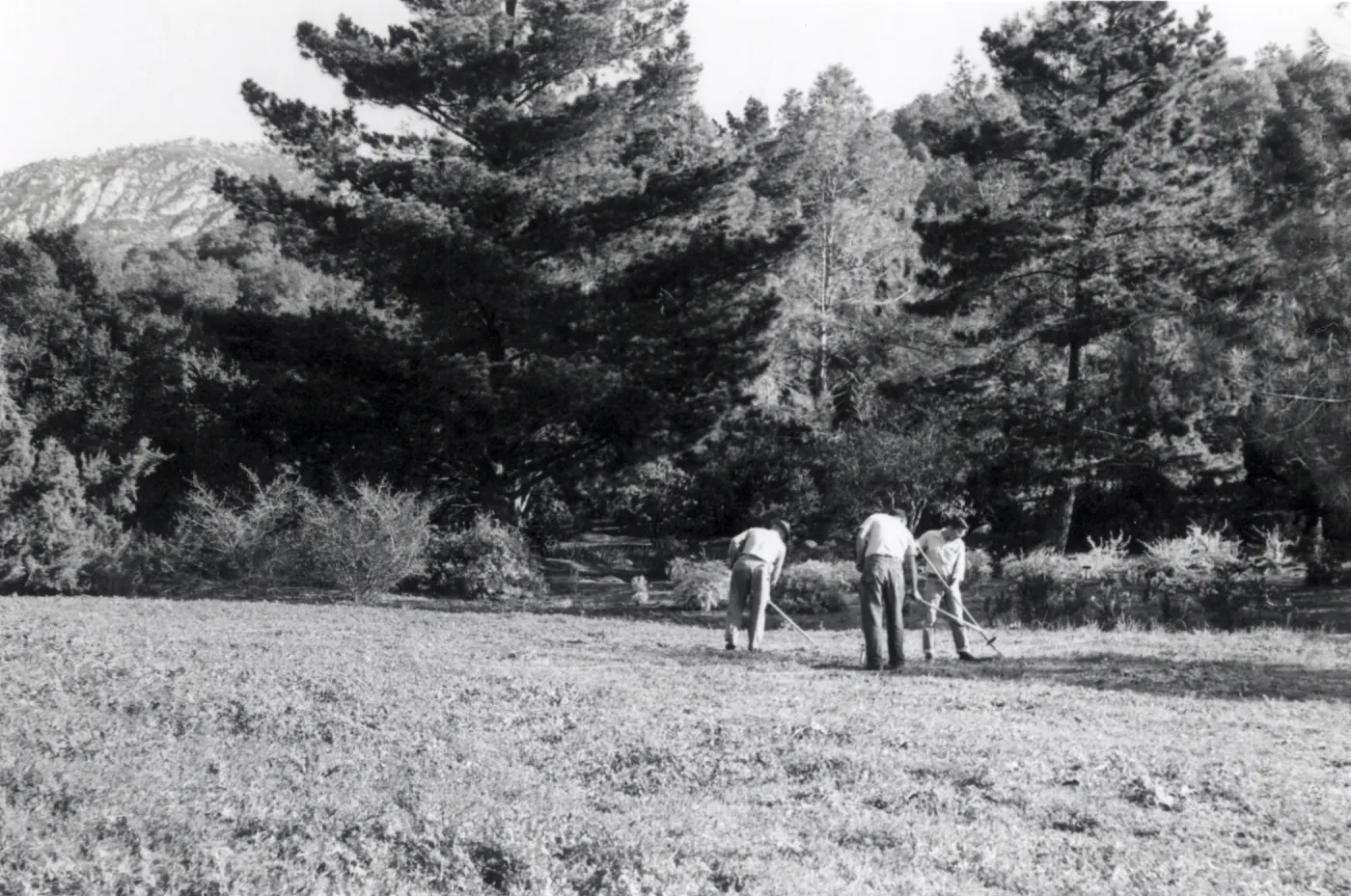 Grounds staff in the Meadow