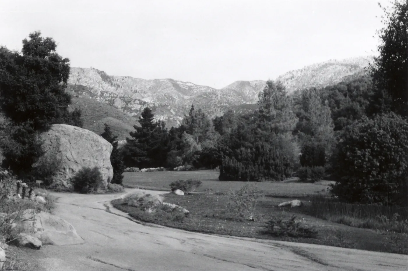 Meadow, 1958, Santa Ynez Mountain view
