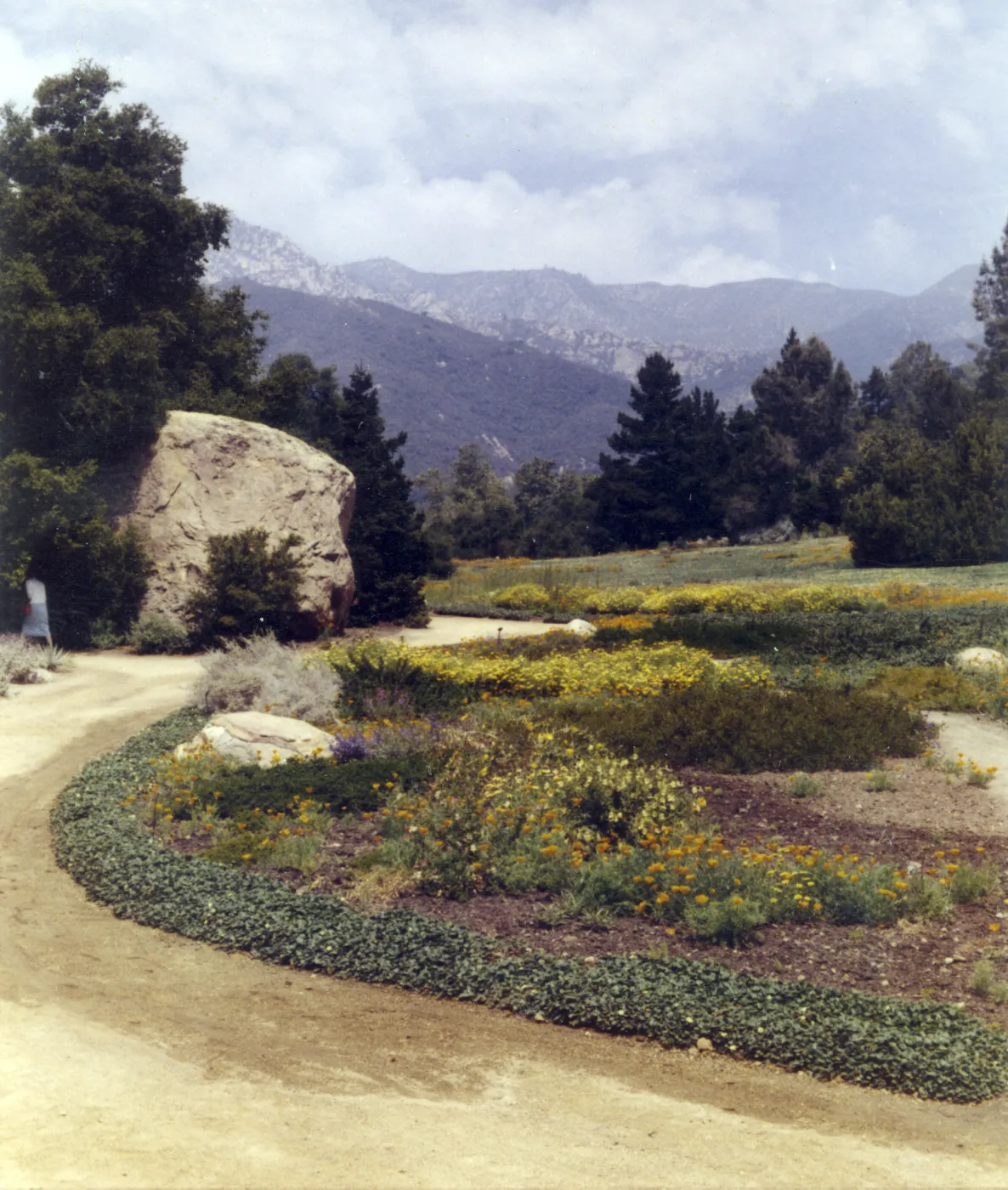 lower Meadow and mountain view from Garden entrance