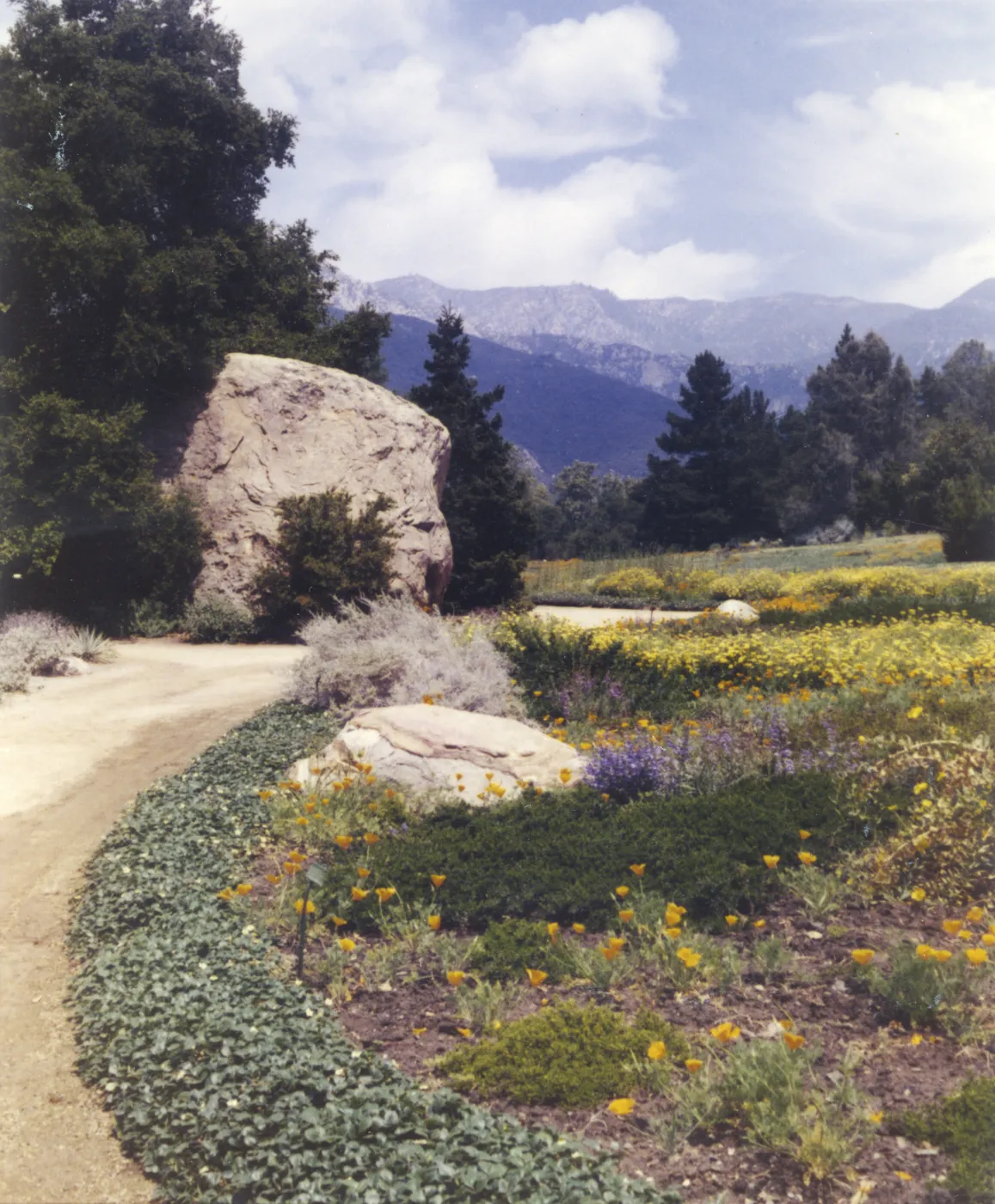 lower Meadow and mountain view from Garden entrance