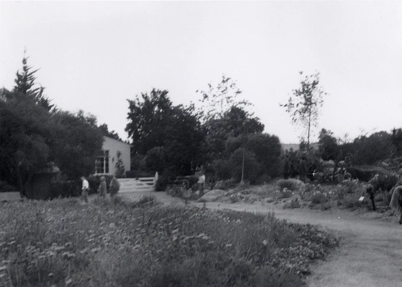 Sunday visitors in the Meadow, 1952