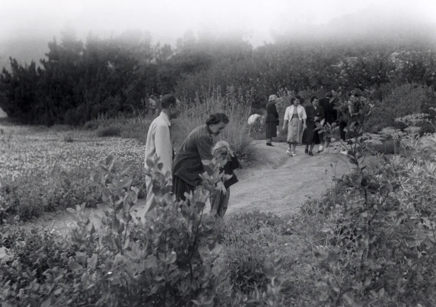 Sunday visitors in the Meadow, 1952