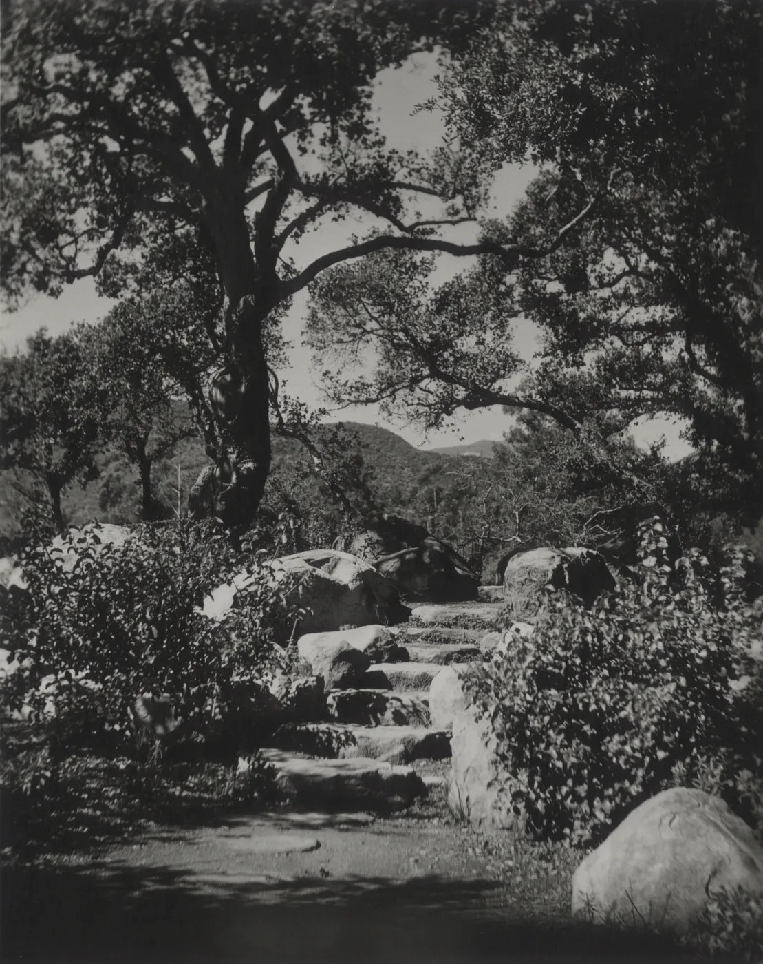 stone steps at the Meadow Oaks