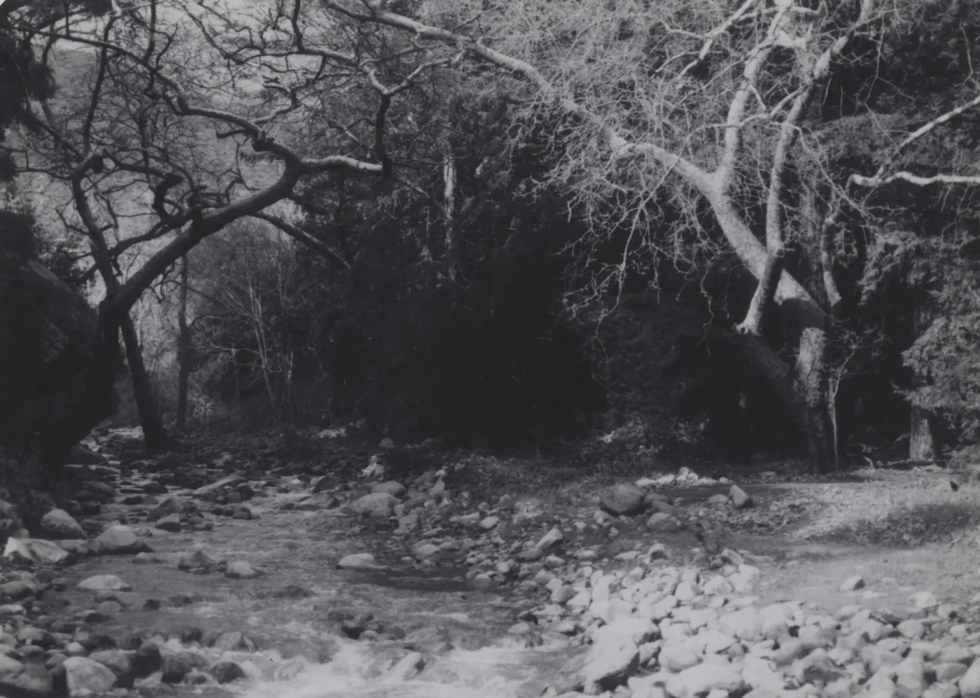 Mission Creek above Mission Dam